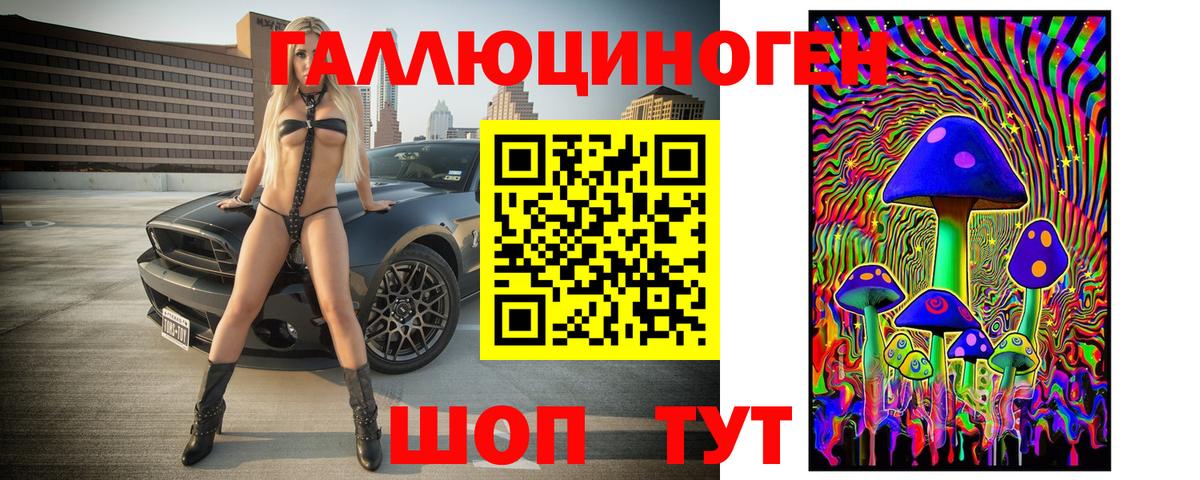 Псилоцибиновые грибы Psilocybe  Артём 