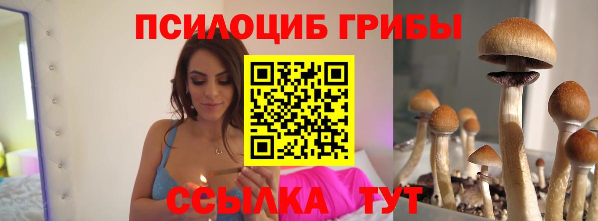 как найти закладки  Галлюциногенные грибы GOLDEN TEACHER  Вход с VPN  Артём 